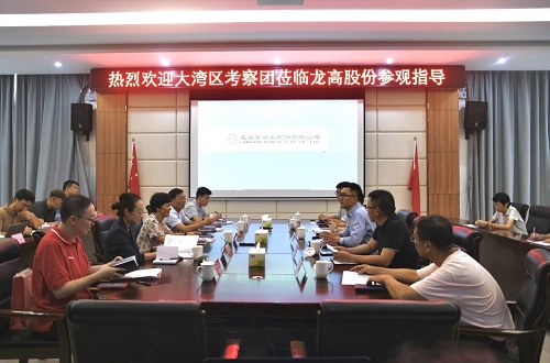 大湾区2.jpg